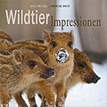 willi-rolfes-wildtier-impressionen