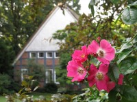 Neue Heimat im Garten