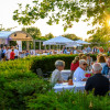 Sommerabend in den Stapelfelder Gärten