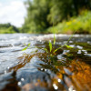 Vom Fluss der Lebenskraft