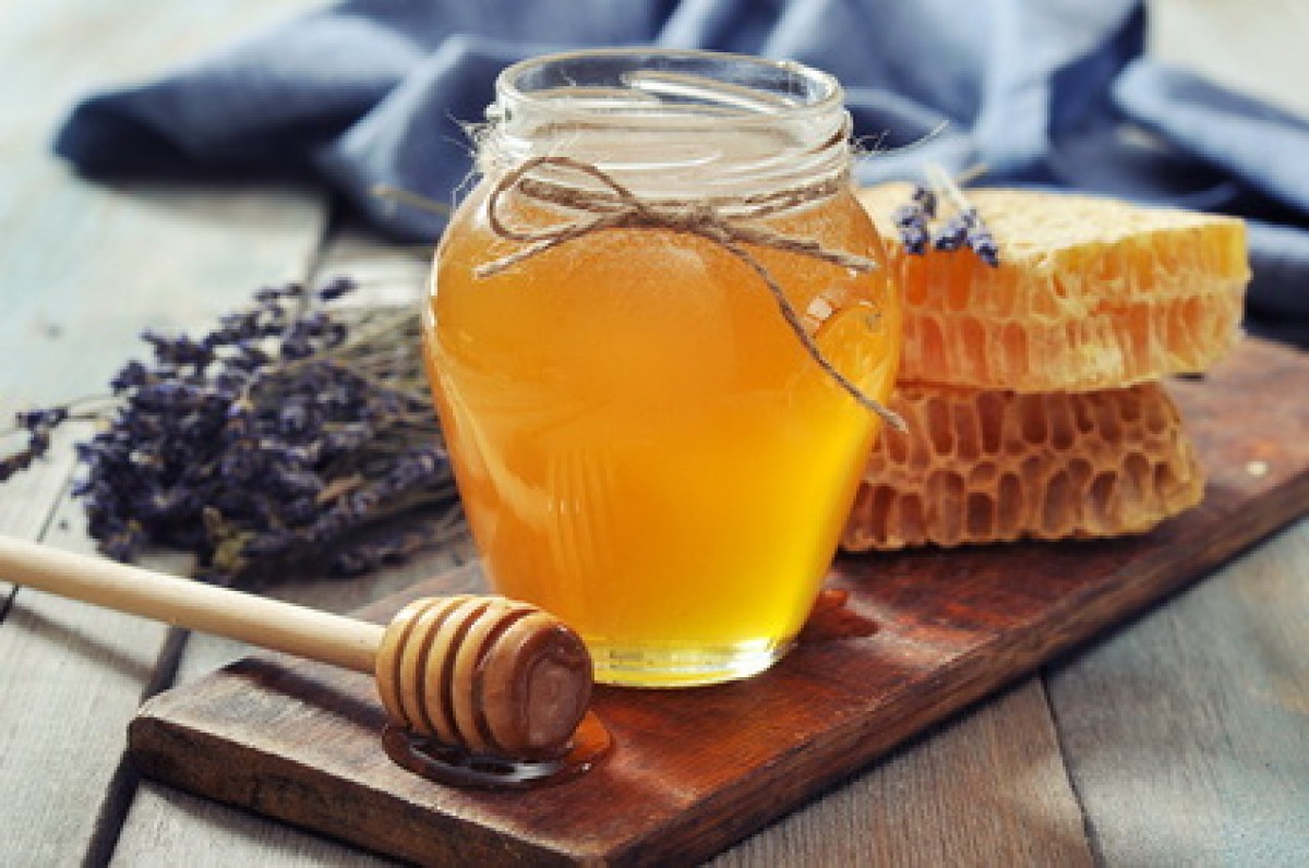 Vom Zauber des Honigs – Streifzüge durch die Welt der Honigbiene