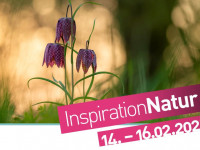 „Inspiration Natur“ rückt die Vielfalt der Naturfotografie ins Bild